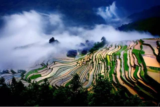  When the grain rain comes, everything comes into being! These beautiful terraces in Guizhou are "waking up"